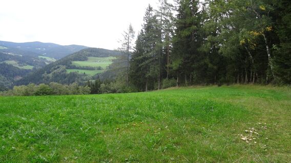 Auffahrt auf den Arzberg