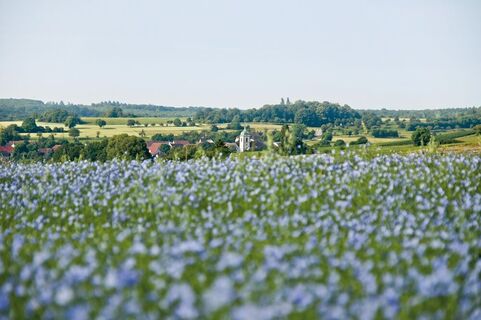 Blick auf Medelsheim in der Biosphäre Bliesgau