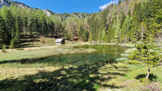 Photo de EP87 le long du parcours