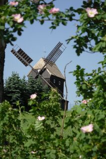 Birkmühle