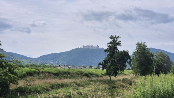 Fotografie de la Claudia Maurer de-a lungul turului