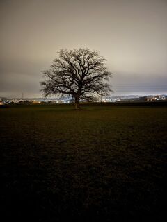 Fotó a robin Zuhn honlapról a túra során