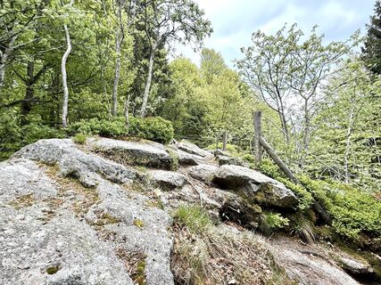 Photo de Norbert Herbig le long du parcours