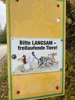 Photo de Harald Engel le long du parcours