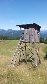 Foto de Martina Ursic75 a lo largo del recorrido