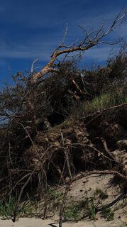 Zdjęcie z Magdalena Hartmann wzdłuż trasy