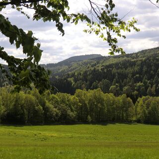Brettmühle Blick zum Bärenstein
