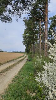 Foto von Gerold Muehlbauer entlang der Tour