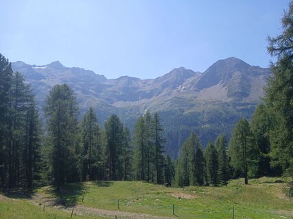 Fotografija s spletne strani Luca Dainese na poti