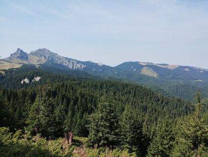 Foto de Tasurinki Mitote a lo largo del recorrido