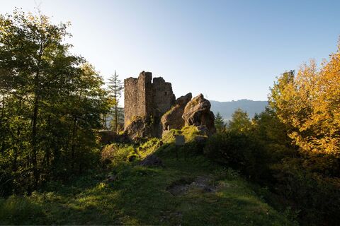 Burgruine Schalun (Wildschloss)