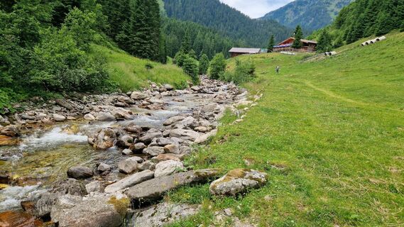 Fotografia z Gerrit van der Linde na trase