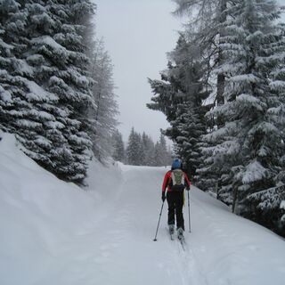 Aufstieg in Richtung Schatzberg