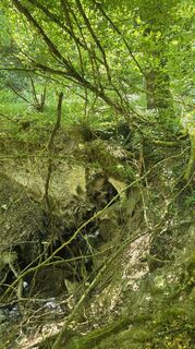 Photo de Dietmar Herrenschmidt le long du parcours