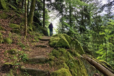 Felsenmeer bei Lauterbach