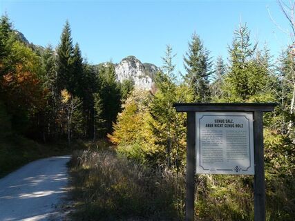 Der höchste Punkt der Via Salis