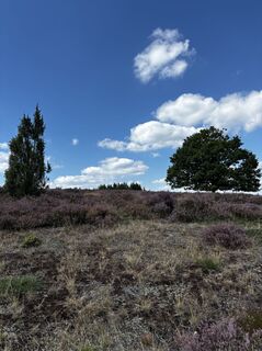 Fotografie z Jan Düber na trase