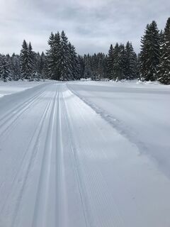 Langlaufspur