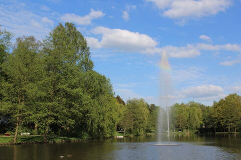 Springbrunnen im See
