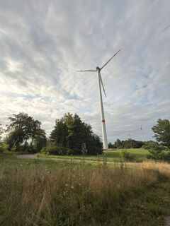 Photo de M2504 le long du parcours