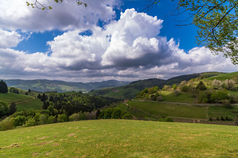 Schwarzwaldregion Belchen