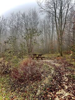 Fotografie z Kellner Heidi na trase