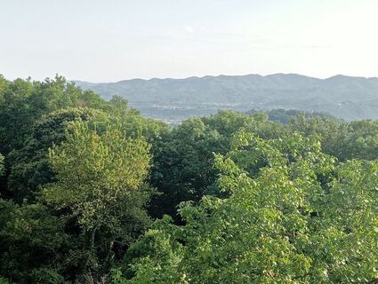Foto de simone ravasi a lo largo del recorrido