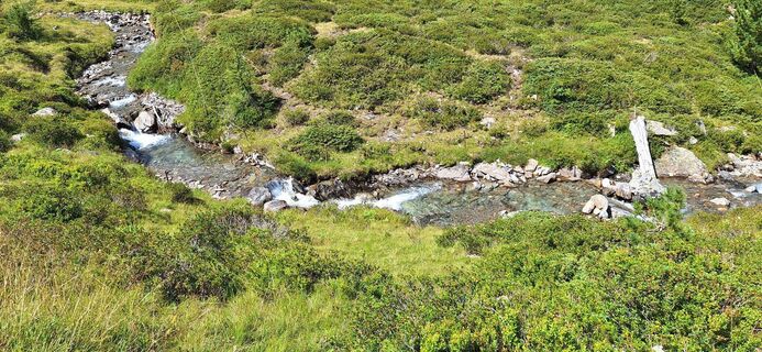 Foto von Denis Zilio 1 entlang der Tour