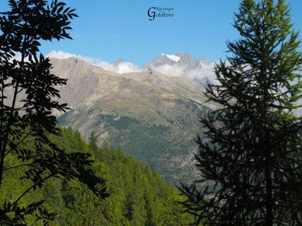 A073 Alpen
