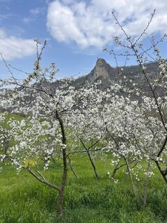Foto von ugo buriani entlang der Tour