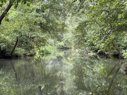 Foto de Norbert Herbig a lo largo del recorrido