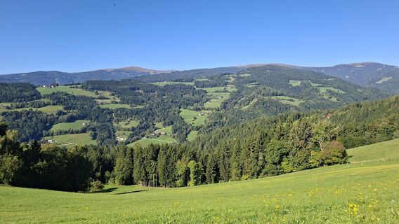 Fotografia z Manfred Scherz na trase