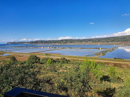 Foto från Edith Moser under resans gång
