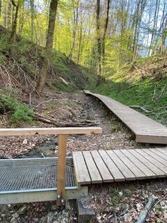 Brücken und Wege im Ruschbach in Grenzach-Wyhlen
