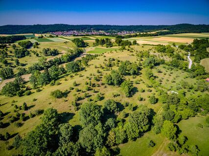 Durch die Wacholderheide