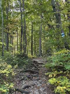 Fotografia z tjiong na trase