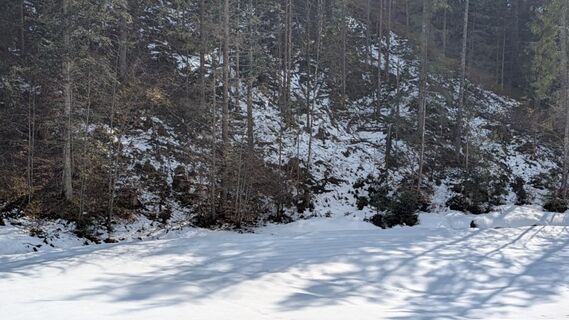 Photo de Gudrun Lippert le long du parcours