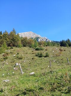 Photo de Pascal 36 le long du parcours