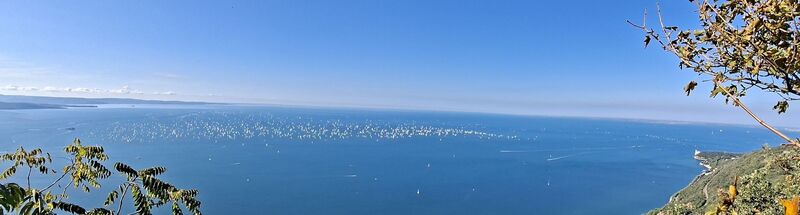 Fotografia z Bob Moh na trase