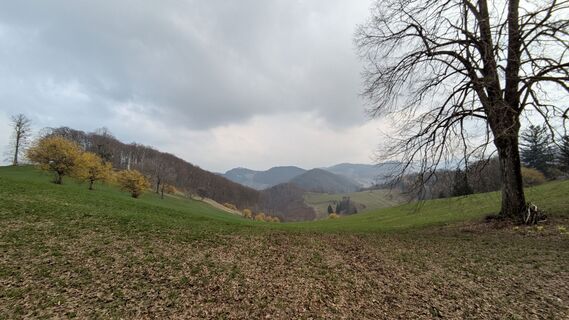 Fotografija s spletne strani chrim na poti