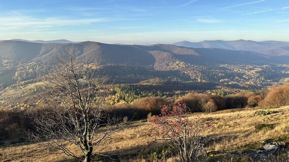 Fotografija s spletne strani Z-Polen na poti