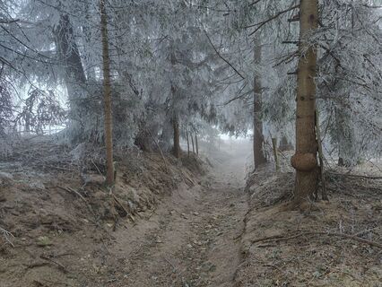 Fotografija s spletne strani Lena Eder na poti