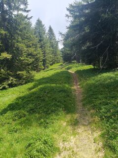 Foto von Stefano Suter entlang der Tour