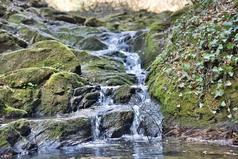 Rettenbachklamm (c)Weges (12).jpg