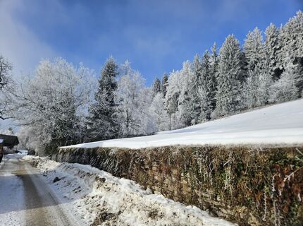 Foto von Franz Russ entlang der Tour
