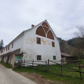 Fotografia z Sonja Enzenhofer na trase