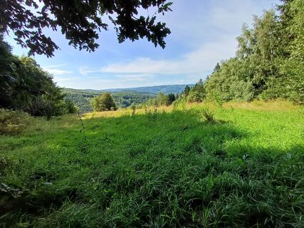Fotografie z Patrick Haid na trase