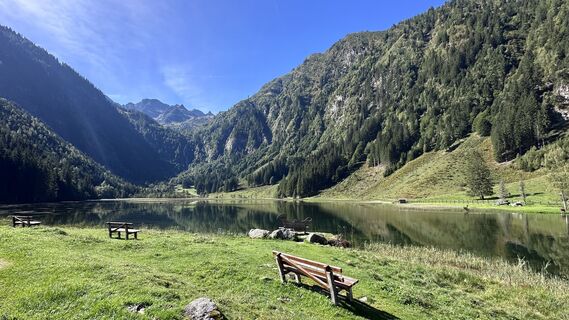 Foto von Mountain Cat ? ⛰️ entlang der Tour