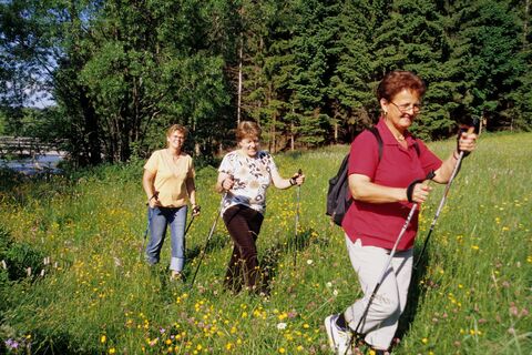 Wandern Waldviertel_Wiese