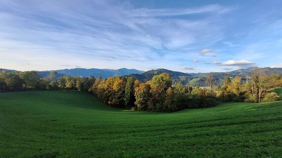 Fotografia z Regina Fleischmann na trase